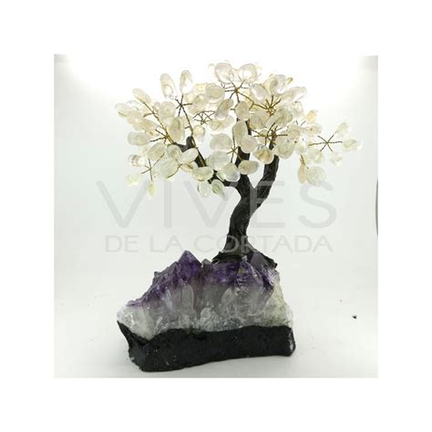 Arbre Moyen De Quartz Avec La Base Dam Thyste De Druse Vives De La