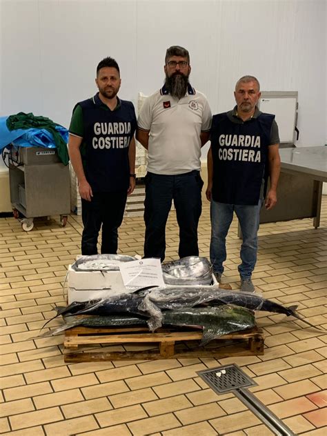 Pozzallo Sequestrati Chili Di Pesce Senza Tracciabilit Giornale