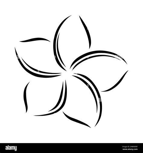 Flower in samoa Black and White Stock Photos & Images - Alamy