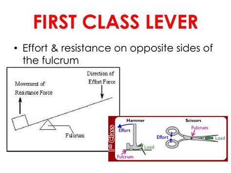 Ppt Levers Powerpoint Presentation Free Download Id2710686