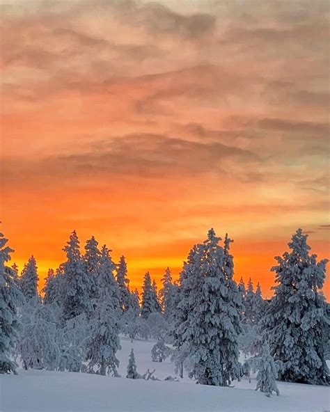 「Finnish Winter Wonderland」おしゃれまとめの人気アイデア｜Pinterest｜Discovering Finland