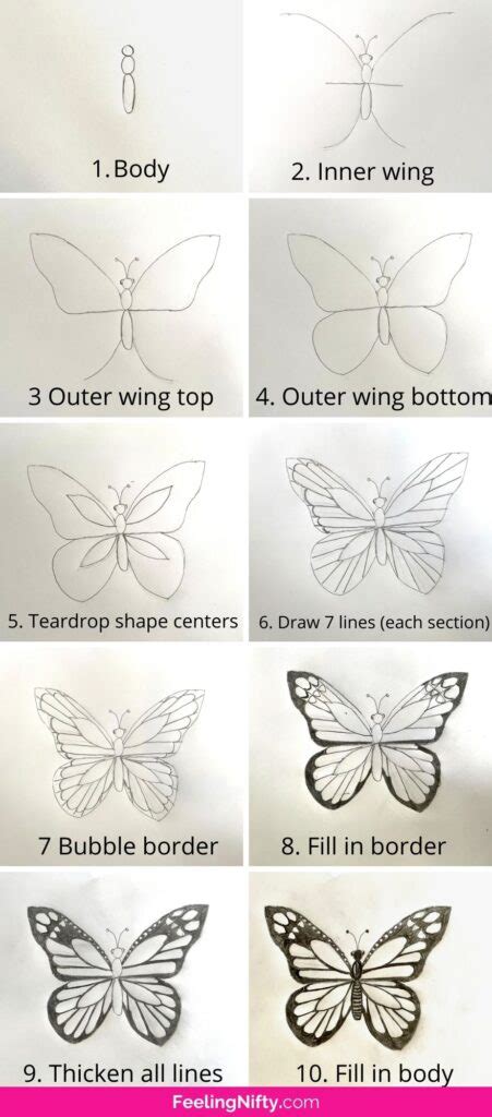 How To Draw A Butterfly Step By Step Realistically