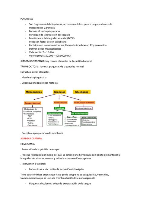 5 Sangre II Resumenes 1 Parcial Fisio PLAQUETAS Son Fragmentos