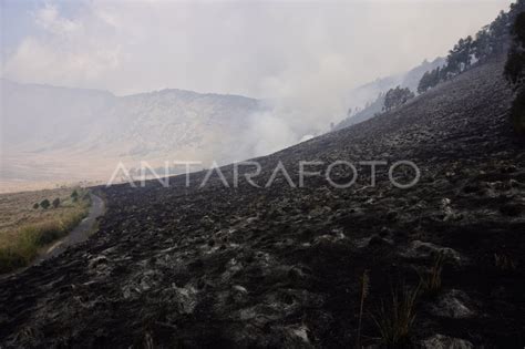 Pemadaman Kebakaran Kawasan Savana Gunung Bromo Antara Foto