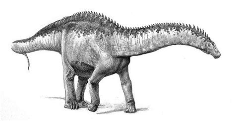 apatosaurus | Flickr - Photo Sharing! | Prehistoric animals ...