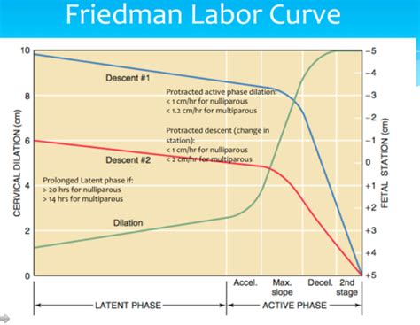 Obgyn Final Exam Chpt Abnormal Labor And Intrapartum Fetal Hot Sex