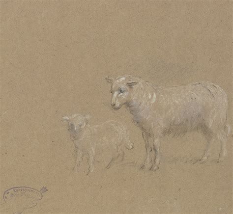 Sheep And Lamb By Wilhelm Amandus Beer Artvee