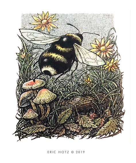 Vintage Bumble Bee Illustration