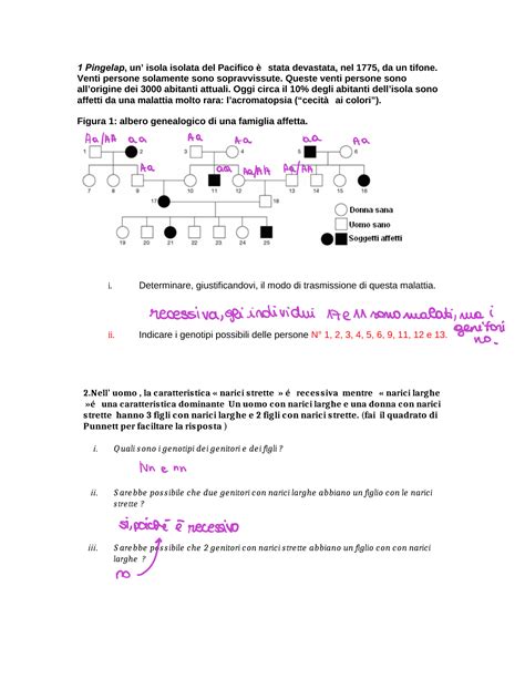 SOLUTION Esercizi Genetica Studypool