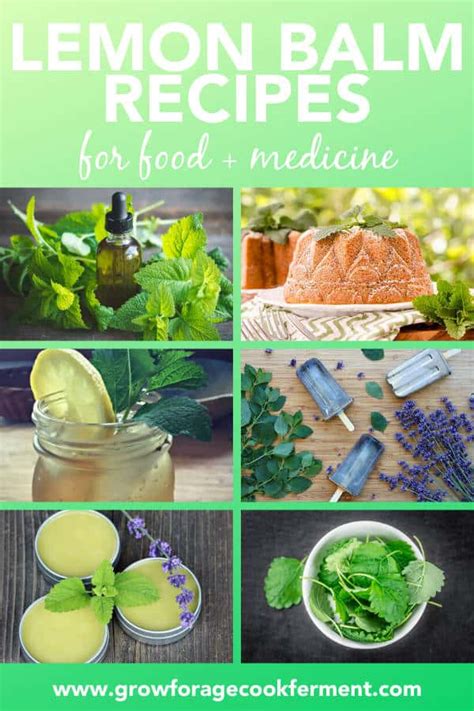 Lemon Balm Recipes: food, drinks, remedies, + more!