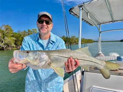 Naples Marco Island Fishing Charters Latest Report Naples Marco