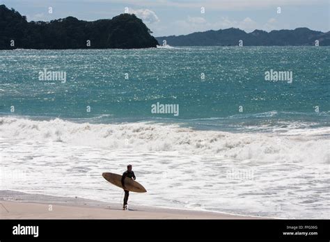 Surfers At Hot Water Beach Mercury Bay Coromandel Peninsula North