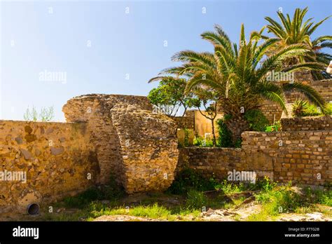 Old Carthage ruins in Tunisia Stock Photo - Alamy