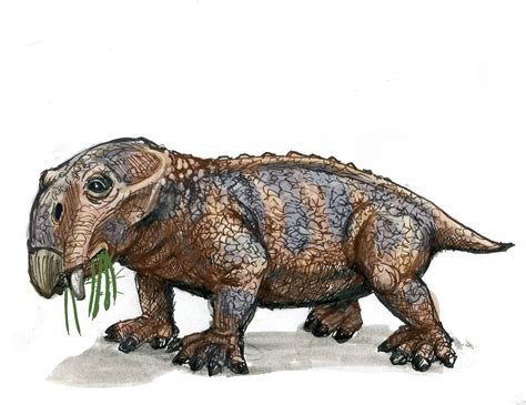 happy  lystrosaurus rnaturewasmetal