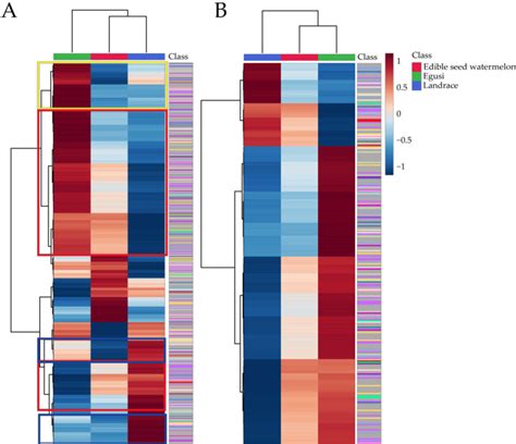 Figure From Comparative Metabolomic Profiling Of Citrullus Spp