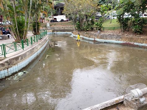 Lago Da Praça Do Congresso é Limpo Cotidiano 4oito