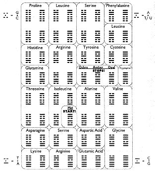 Zen Oracolo I King I Ching