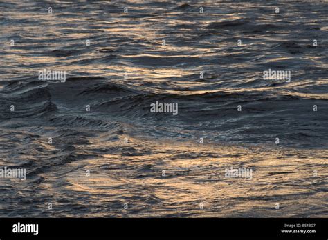 Sunset Reflecting Off Of Gentle Waves Off The Pacific Coast Of Costa