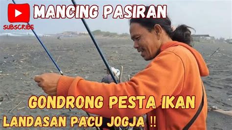 Pesta Ikan Di Landasan Pacu Pesawat Jogja Mancing Pasiran Terbaru