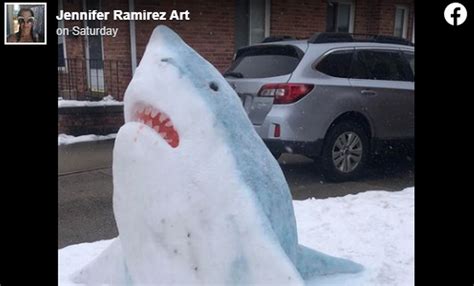 Snow Sharks Appear To Swim In Snow Filled Michigan Lawn Photos Show