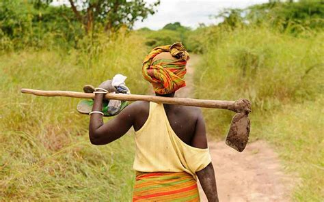 African Women Farmers Good Governance Africa