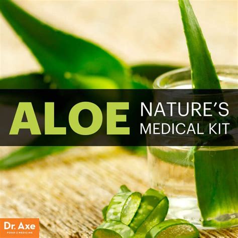 The Energy Boosting Hormone Balancing Enzyme You Need To Know About Aloe Vera Shampoo Aloe