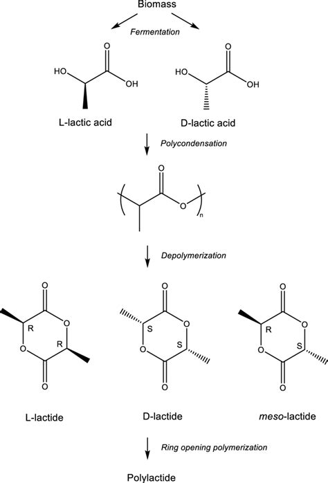 Synthetic Route Of Stereo Forms Of Polylactic Acid From Biomass Stereo