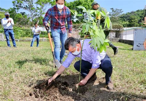 Fijan Meta De Sembrar Un Milln Arboles En Chiapas