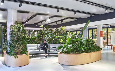 Embrace The Magic Of Nature Biophilic Design A Friendly Path To A