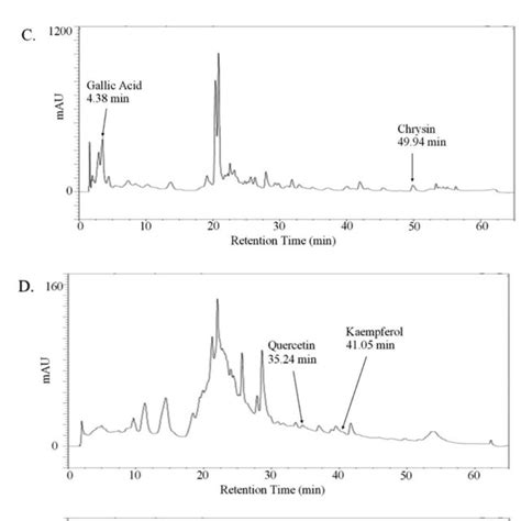 Absorption Chromatogram Of Phenolic Compounds In Thyme Honey Using