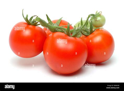 Bushtomatoes Hi Res Stock Photography And Images Alamy