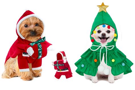 These 15 Cutest Pet Christmas Outfits Are Paws-itively Perfect