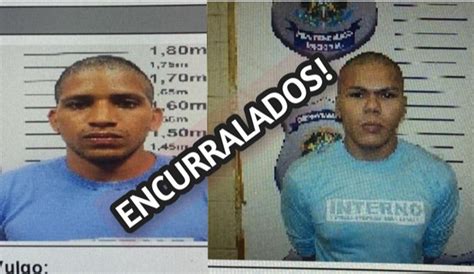 Fugitivos da Penitenciária Federal estão encurralados revela polícia