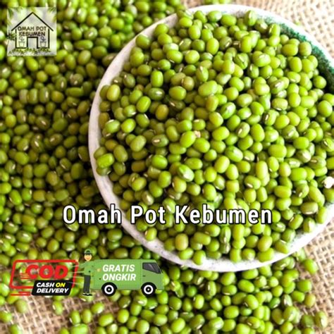 Jual DARI PETANI Kacang Hijau Kacang Ijo Kualitas Super 1kg Original