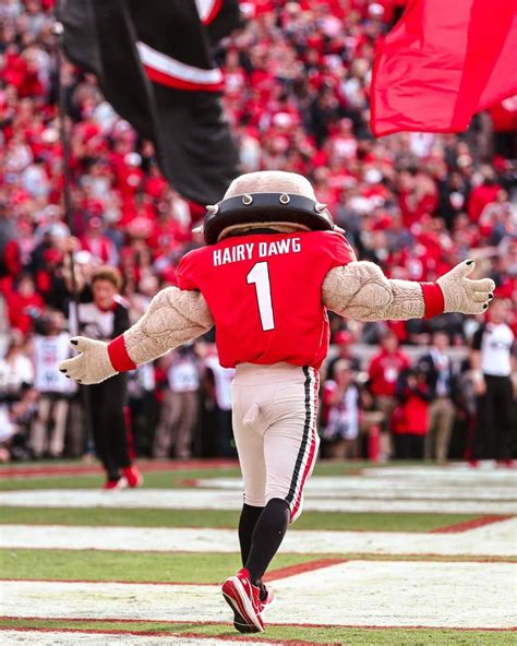 Georgia Bulldogs Reveal 1980 Throwback Road New Black Alternate