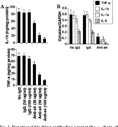 Figure From Role Of Very Late Antigen Vla In Myelin Basic