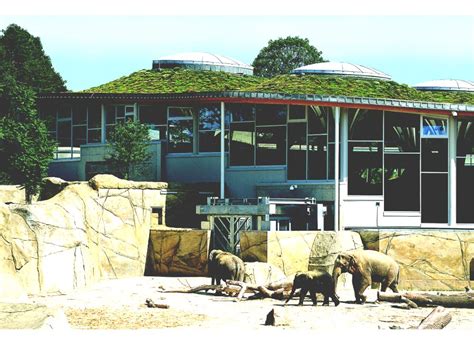 Elephant House at Cologne Zoo - Greenroofs.com