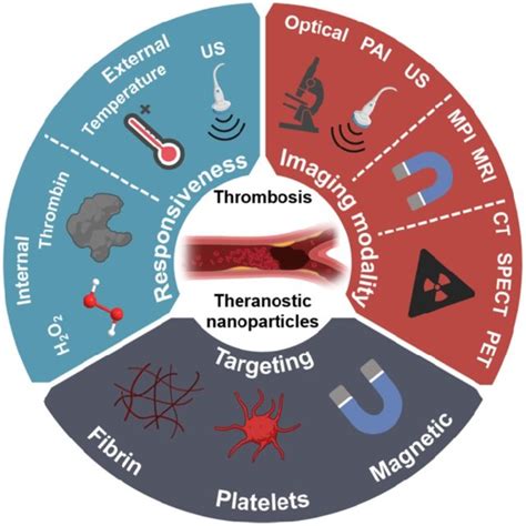 Schematic Illustration Of The Various Approaches Towards Theranostic