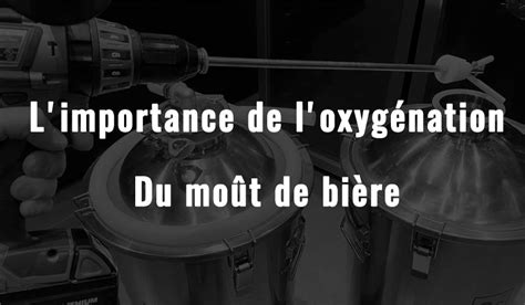 Le Processus De Brassage Limportance De Loxyg Nation Du Mo T De Bi Re