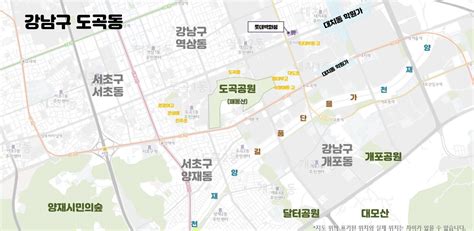 우리동네 지역전문가 아이와 함께하기 좋은 ‘강남구 도곡동 자연도 가까워 주거 환경 쾌적 Mk부동산