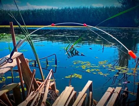 Боковой кивок для летней мормышки лавсан 19см для ловли караса и карпа ...