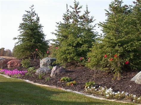 Landscaping Ideas For Backyard Berm - Room Sure