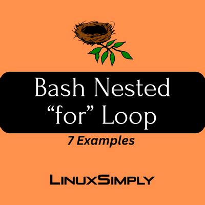 How To Use Nested For Loop In Bash Examples Linuxsimply