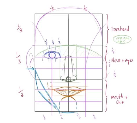 Loomis Method Beginners Guide On How To Draw Heads In 2023