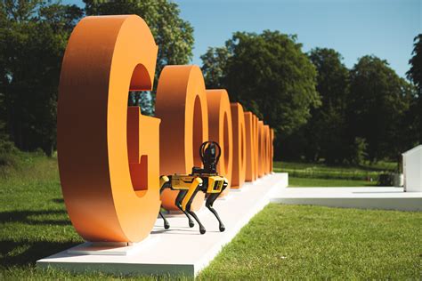 Goodwoof: Fun and friendly dog show like no other in Chichester on 17