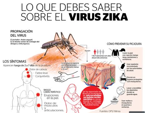 Lo Que Debes Saber Sobre El Virus Zika Charlas De Seguridad