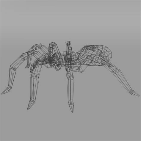 3D Model Tarantula Spider VR AR Low Poly CGTrader