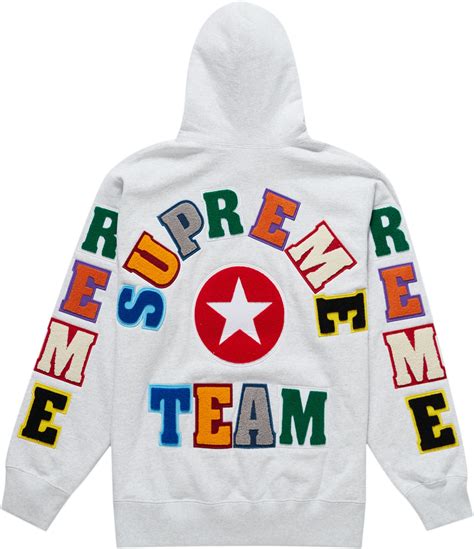 Supreme Team Chenille Hooded Sweatshirt Ash Grey Novelship