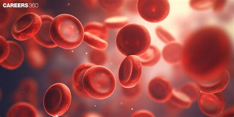 Sickle Cell Anaemia Types Causes Treatment Genetics Diagnosis