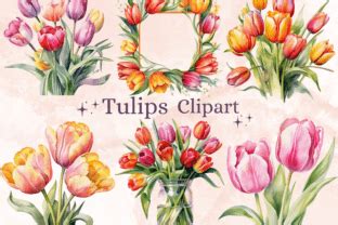 Png Watercolor Tulips Clipart Bundle Graphic By